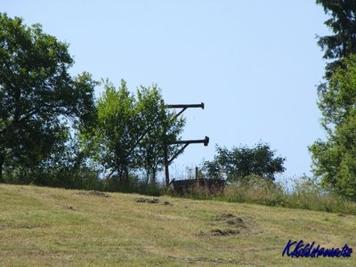 IMG_0993.JPG