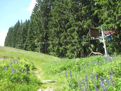 IMG_3506.jpg
