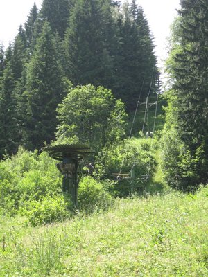 IMG_3509.jpg
