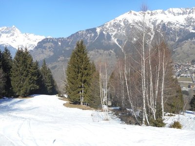 hadanka3.jpg
