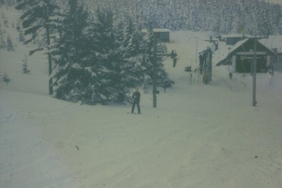 1993.jpg