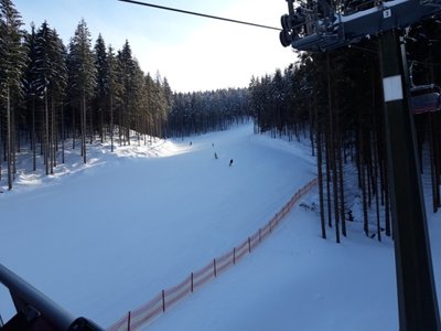 20190130_103010.jpg